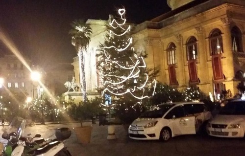 FESTIVITA’ – La Città di Palermo accende il Santo Natale con gli abeti del Parco delle Madonie