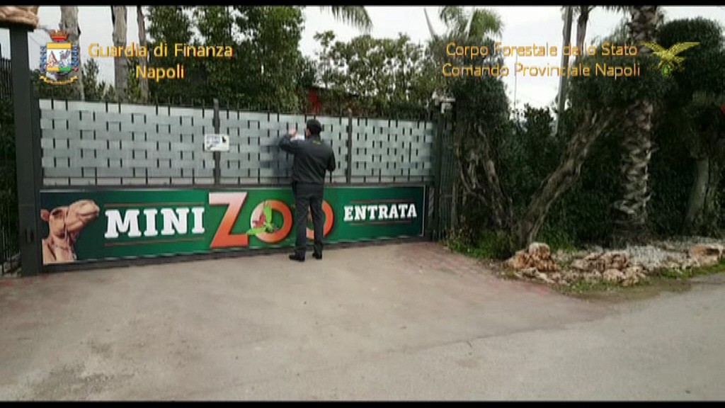 NAPOLI – Sequestrato zoo abusivo con annesso parco giochi