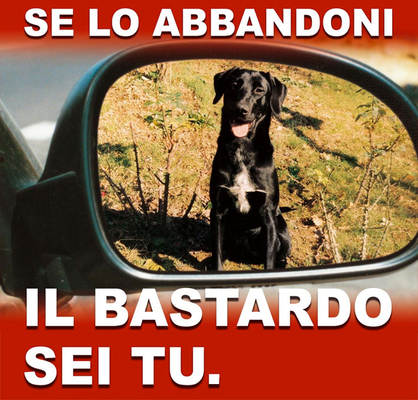 CAS – Avviata la campagna contro l’abbandono dei cani in autostrada
