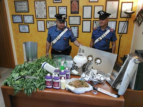 SPADAFORA – Scoperta piantagione di marijuana, arrestato consigliere comunale