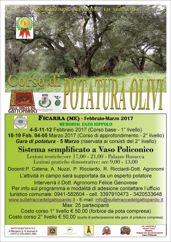 FICARRA – Aperte le iscrizioni per il corso di potatura delle olive