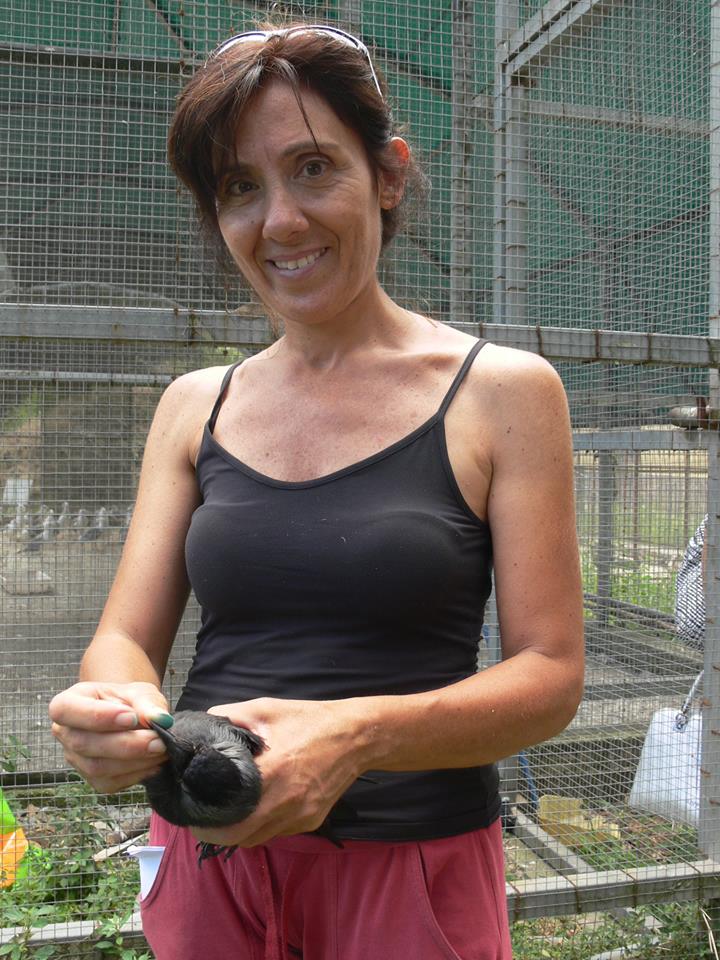 RAPACI IN LIBERTA’ – 12 esemplari di avifauna protetta in volo,liberi, dal Centro Recupero Fauna Selvatica “Stretto di Messina”