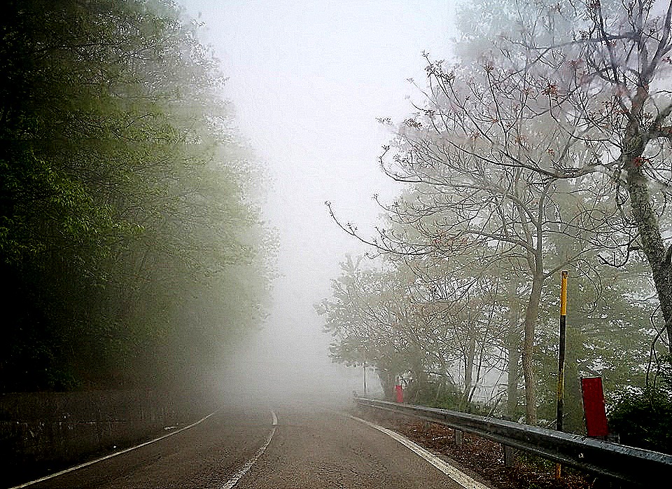 FUORI STAGIONE – Ad un passo dall’estate… ma Floresta è sempre bella