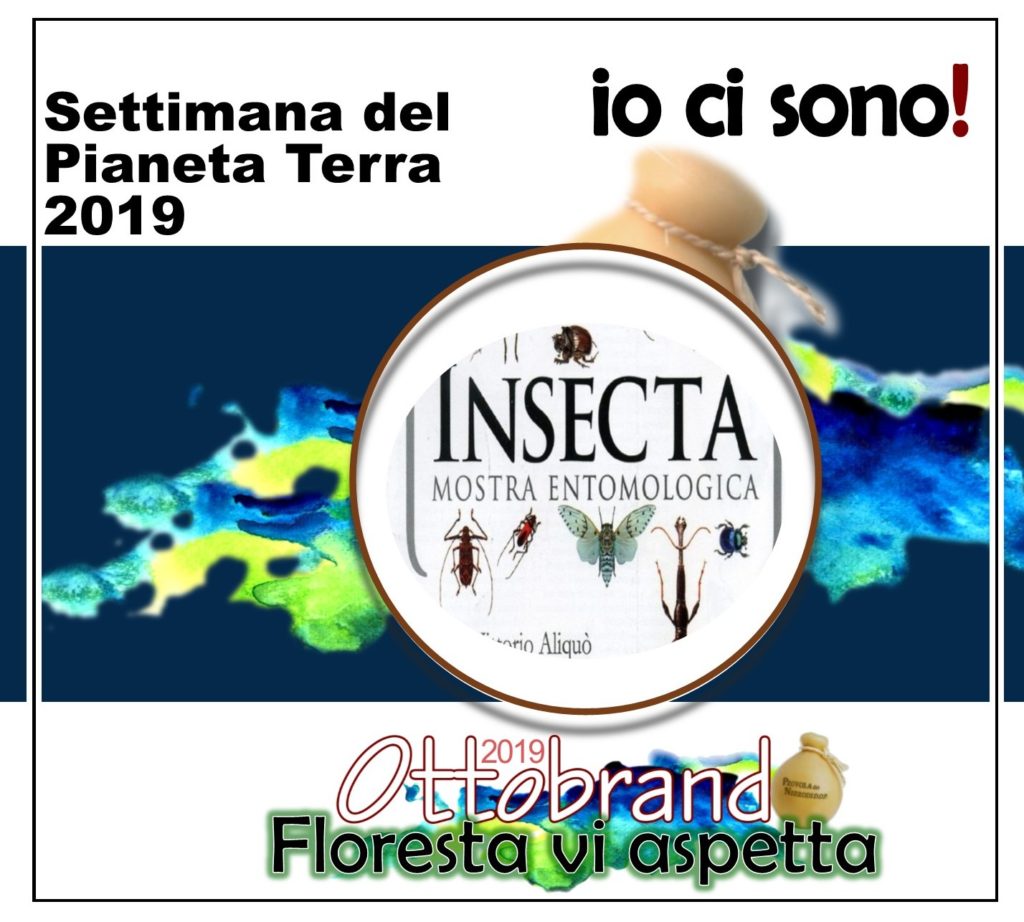 PIANETA TERRA 2019 – Gli appuntamenti a Floresta inseriti nel contest di Ottobrando