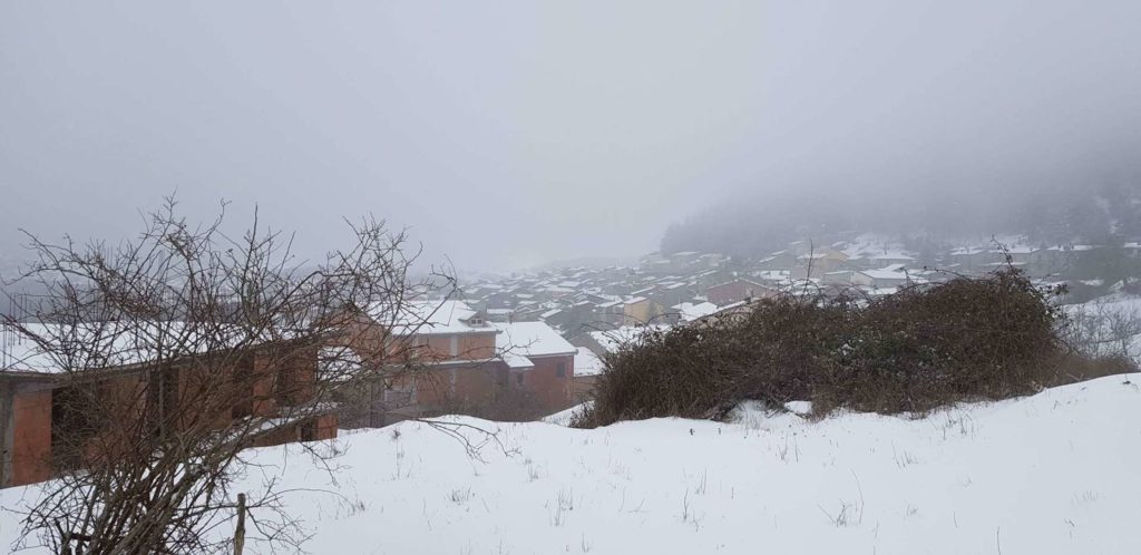 LA PRIMA NEVE – A Floresta da qualche ora è così