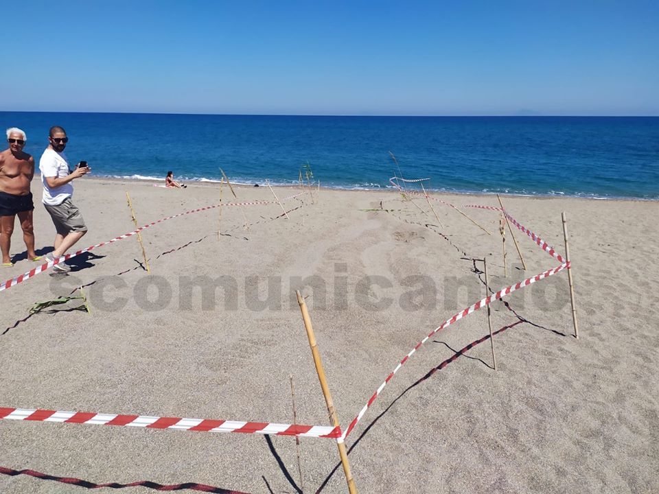 SPIAGGIA DI PIRAINO – E la “Carretta Carretta” la scelse per nidificare