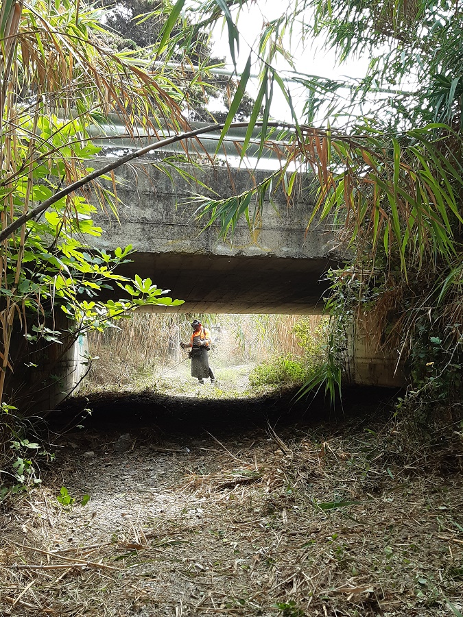 CAPO D’ORLANDO – Interventi di pulizia e decespugliamento dei torrenti: si parte dal Piscittina