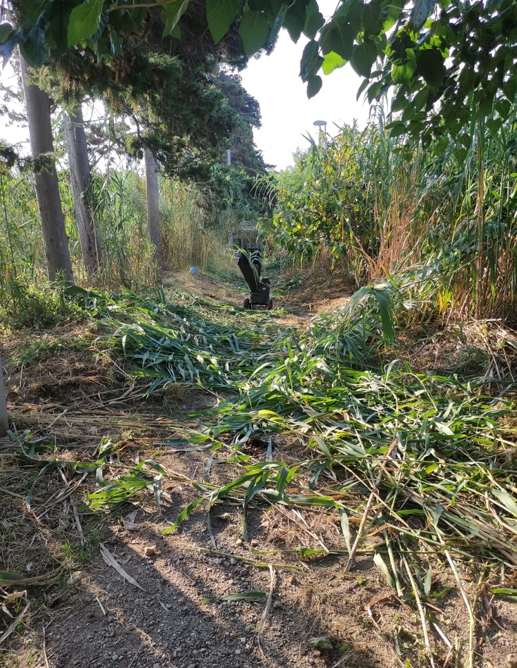 CAPO D’ORLANDO – Avviati dal Piscittina gli interventi di pulizia e decespugliamento dei torrenti