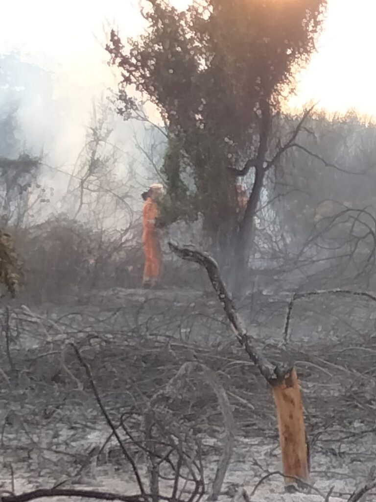 FIAMME E SCIROCCO – L’incendio a Sant’Agata Militello