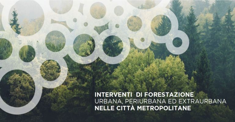 CITTÀ METROPOLITANA – PNRR, approvata la proposta per gli interventi di forestazione urbana, periurbana ed extraurbana