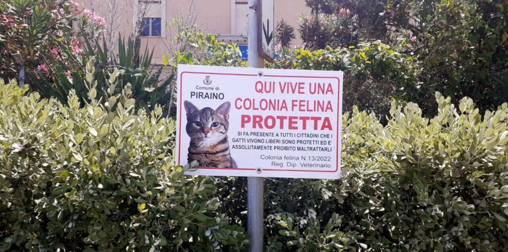 COMUNI ATTENTI – La colonia Felina a Piraino