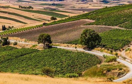 SICILIA – Siccità, aiuti aziende agricole ammesse: proroga per presentare cantierabilità