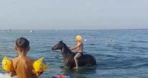 OLIVERI – dopo il bagno del cavallo a mare (regolarmente multato) le amare considerazione del sindaco