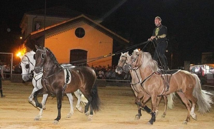 FRANCESCO DI MARTINO – Da Montemaggiore alla 126ª edizione della Fiera Cavalli di Verona