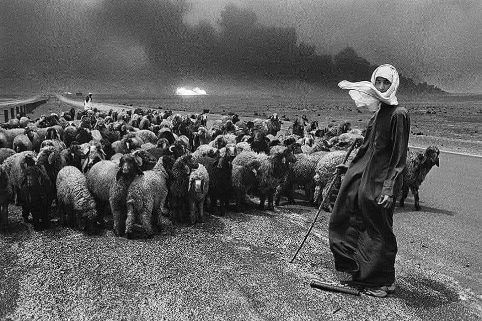 FOTO DA MAESTRI – Quella di Sebastiao Salgado in Kuwait nel 1991